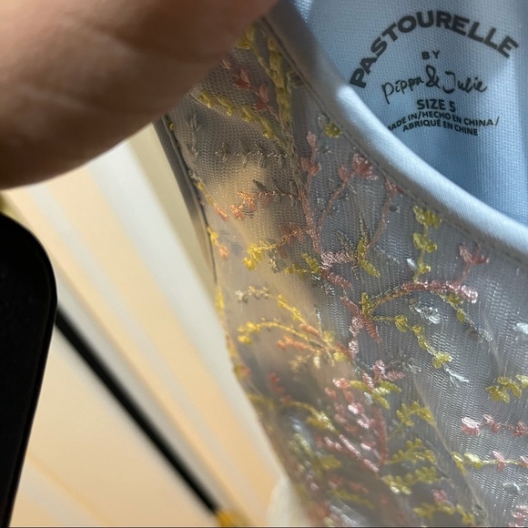 Pippa & Julie Pastourelle 5T Dress - Picture 3 of 6